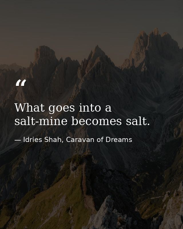What goes into a salt-mine becomes salt. — Idries Shah, Caravan of Dreams