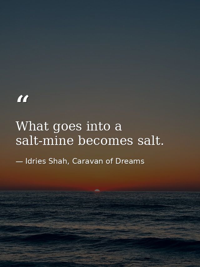 What goes into a salt-mine becomes salt. — Idries Shah, Caravan of Dreams