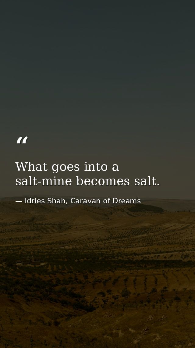 What goes into a salt-mine becomes salt. — Idries Shah, Caravan of Dreams