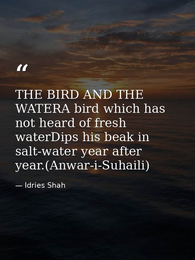 THE BIRD AND THE WATERA bird which has not heard of fresh waterDips his beak in salt-water year after year.(Anwar-i-Suha — Idries Shah