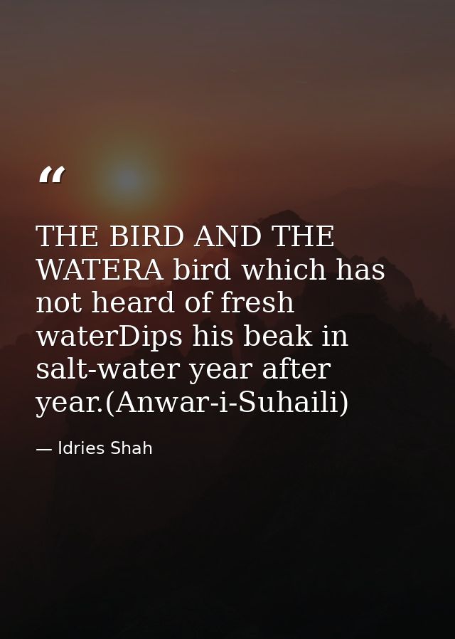 THE BIRD AND THE WATERA bird which has not heard of fresh waterDips his beak in salt-water year after year.(Anwar-i-Suha — Idries Shah