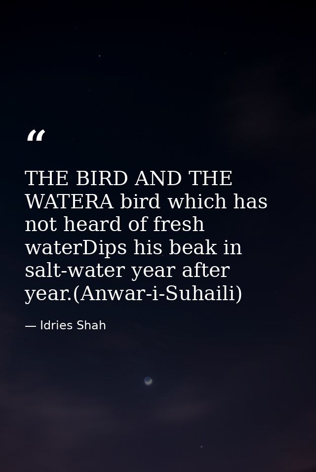 THE BIRD AND THE WATERA bird which has not heard of fresh waterDips his beak in salt-water year after year.(Anwar-i-Suha — Idries Shah