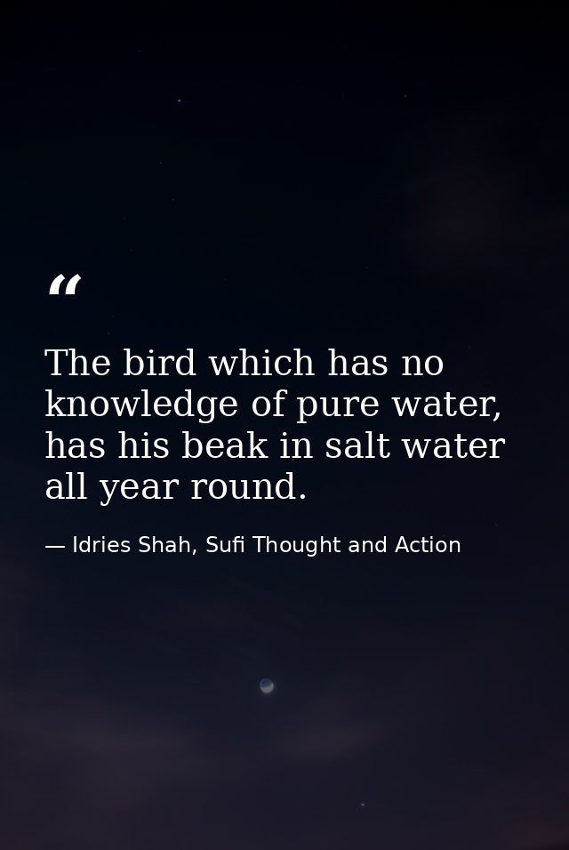 The bird which has no knowledge of pure water, has his beak in salt water all year round. — Idries Shah, Sufi Thought and Action