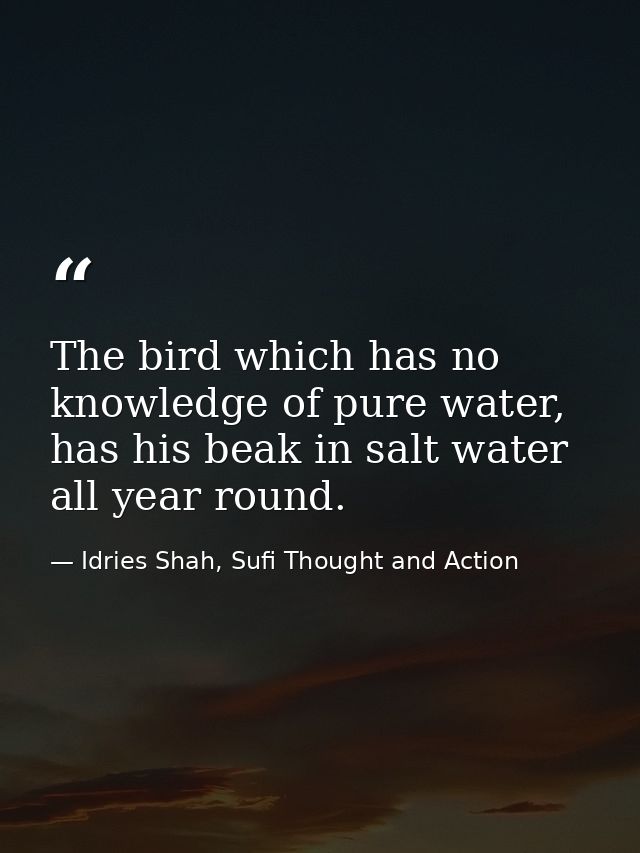The bird which has no knowledge of pure water, has his beak in salt water all year round. — Idries Shah, Sufi Thought and Action