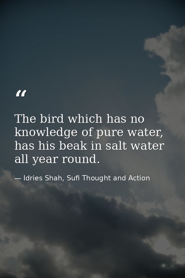 The bird which has no knowledge of pure water, has his beak in salt water all year round. — Idries Shah, Sufi Thought and Action