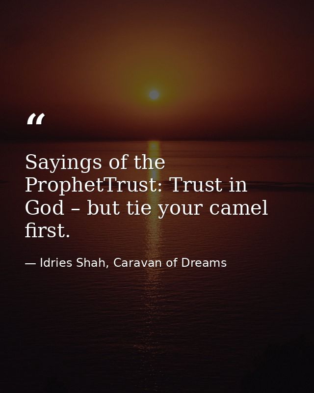 Sayings of the ProphetTrust: Trust in God – but tie your camel first. — Idries Shah, Caravan of Dreams