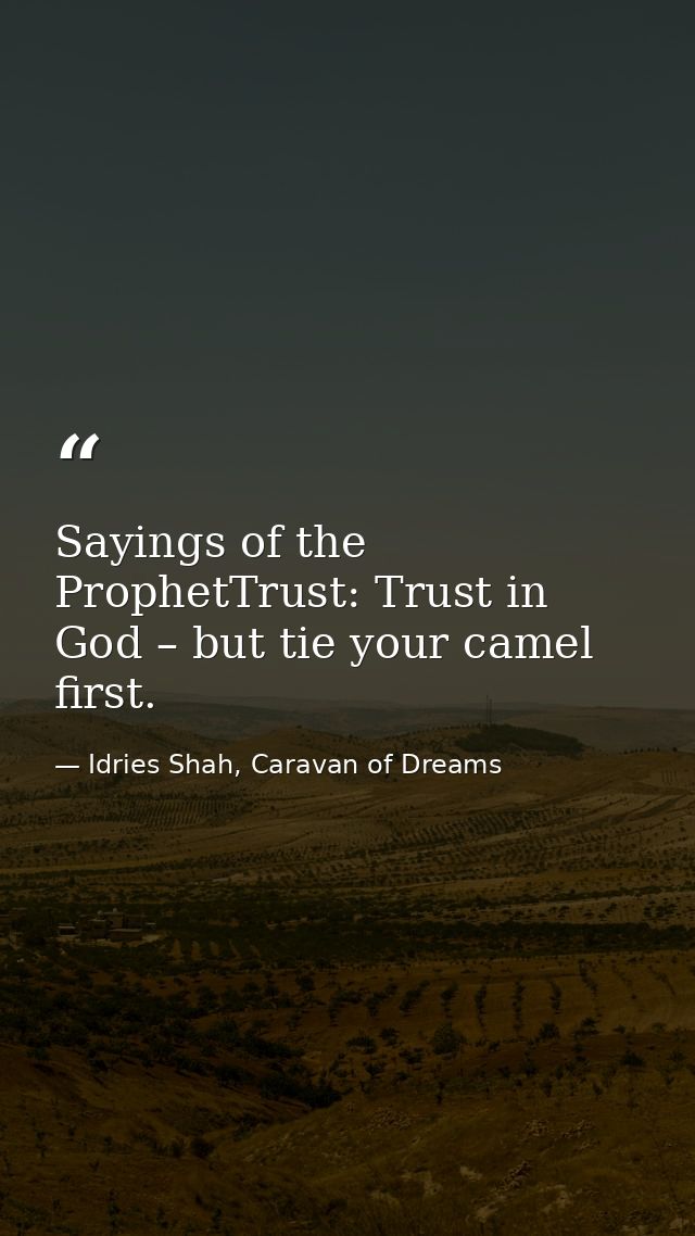 Sayings of the ProphetTrust: Trust in God – but tie your camel first. — Idries Shah, Caravan of Dreams