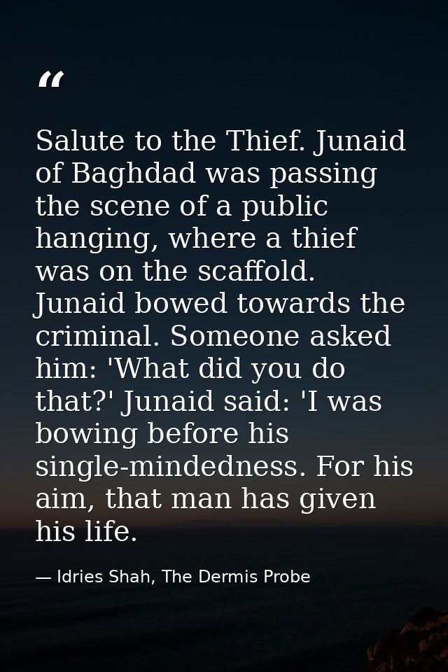 Salute to the Thief. Junaid of Baghdad was passing the scene of a public hanging, where a thief was on the scaffold. Jun — Idries Shah, The Dermis Probe