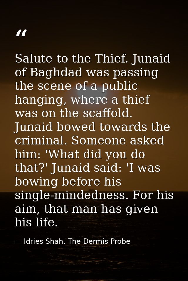 Salute to the Thief. Junaid of Baghdad was passing the scene of a public hanging, where a thief was on the scaffold. Jun — Idries Shah, The Dermis Probe