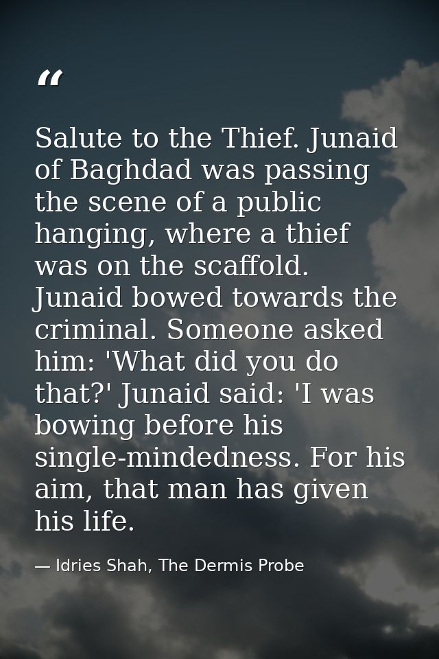 Salute to the Thief. Junaid of Baghdad was passing the scene of a public hanging, where a thief was on the scaffold. Jun — Idries Shah, The Dermis Probe