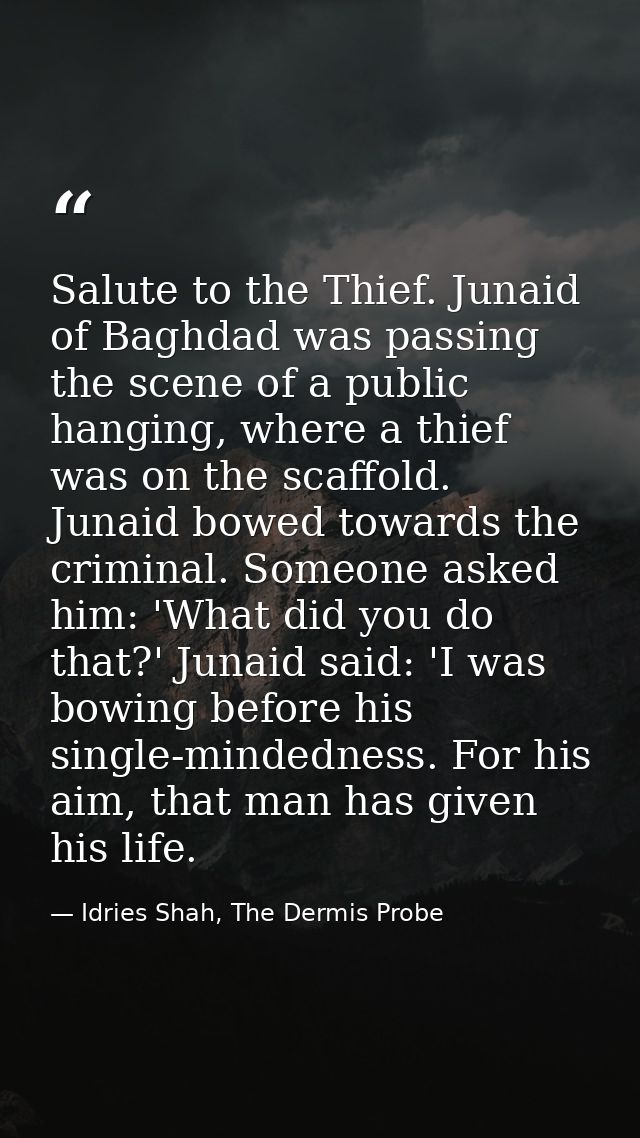 Salute to the Thief. Junaid of Baghdad was passing the scene of a public hanging, where a thief was on the scaffold. Jun — Idries Shah, The Dermis Probe