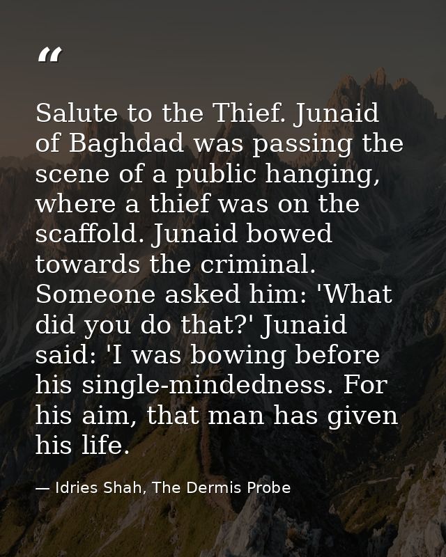 Salute to the Thief. Junaid of Baghdad was passing the scene of a public hanging, where a thief was on the scaffold. Jun — Idries Shah, The Dermis Probe