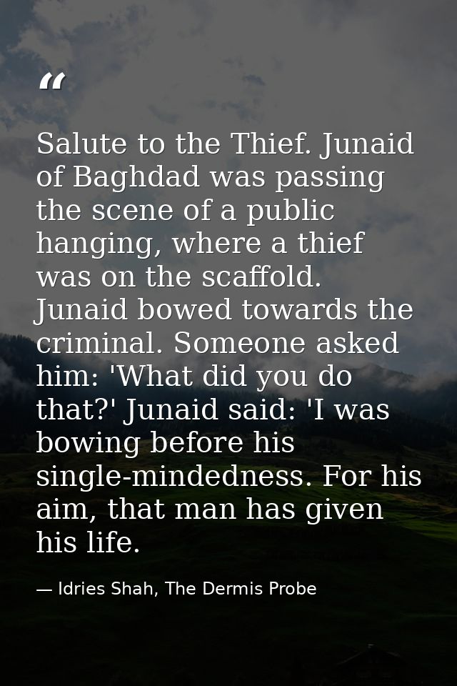 Salute to the Thief. Junaid of Baghdad was passing the scene of a public hanging, where a thief was on the scaffold. Jun — Idries Shah, The Dermis Probe
