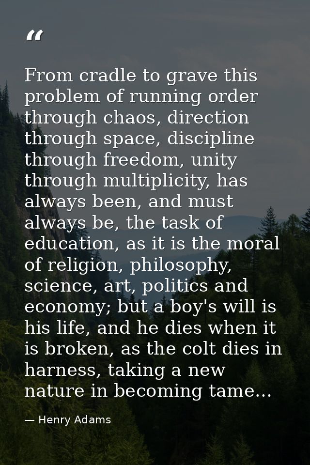 From cradle to grave this problem of running order through chaos, direction through space, discipline through freedom, u — Henry Adams