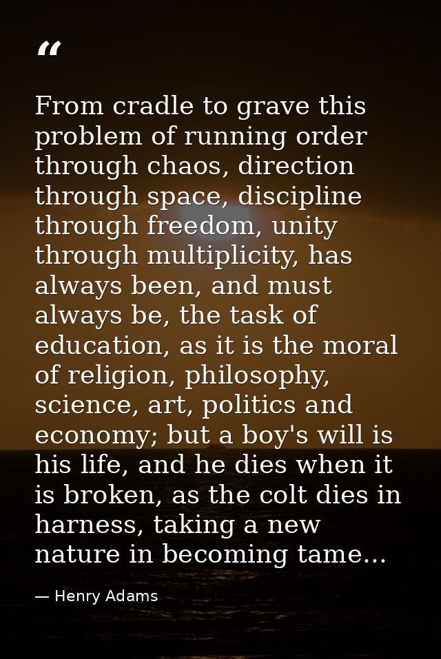 From cradle to grave this problem of running order through chaos, direction through space, discipline through freedom, u — Henry Adams