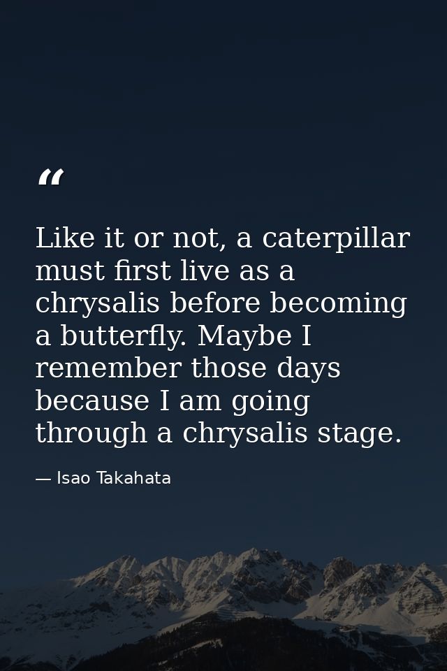 Like it or not, a caterpillar must first live as a chrysalis before becoming a butterfly. Maybe I remember those days be — Isao Takahata