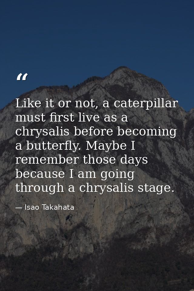 Like it or not, a caterpillar must first live as a chrysalis before becoming a butterfly. Maybe I remember those days be — Isao Takahata