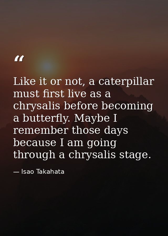 Like it or not, a caterpillar must first live as a chrysalis before becoming a butterfly. Maybe I remember those days be — Isao Takahata