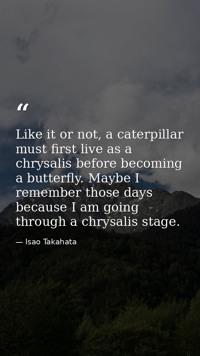 Like it or not, a caterpillar must first live as a chrysalis before becoming a butterfly. Maybe I remember those days be — Isao Takahata