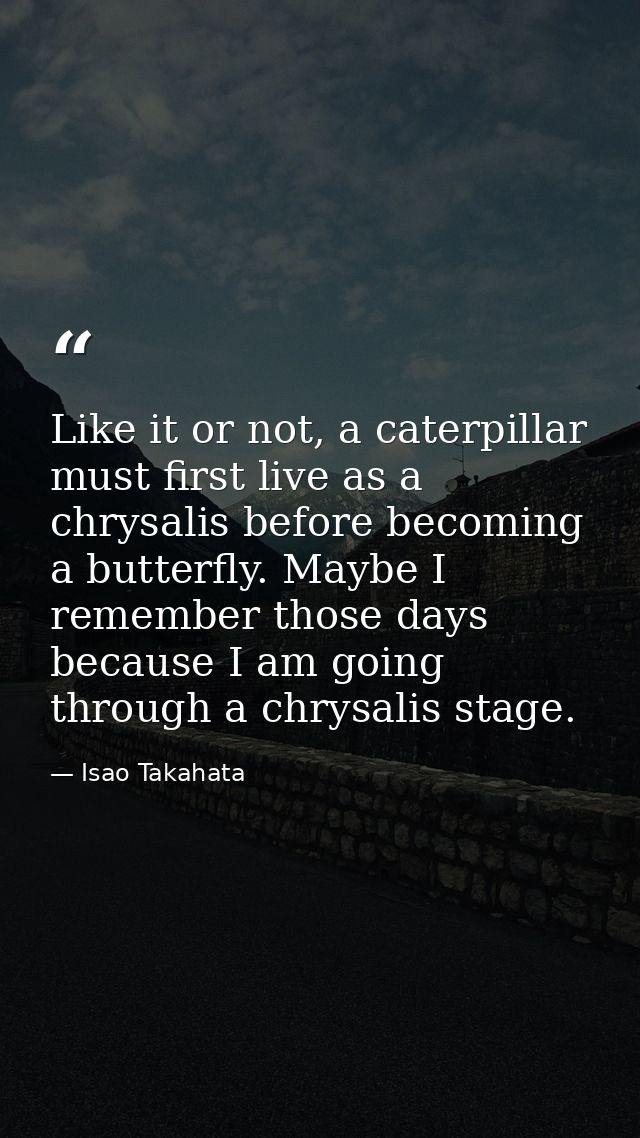 Like it or not, a caterpillar must first live as a chrysalis before becoming a butterfly. Maybe I remember those days be — Isao Takahata