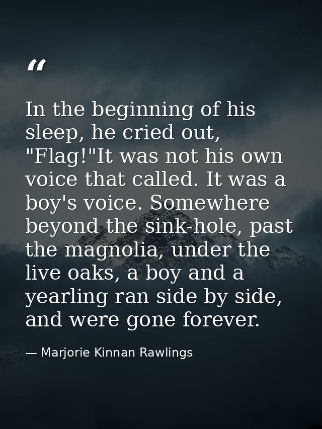 In the beginning of his sleep, he cried out, "Flag!"It was not his own voice that called. It was a boy's voice. Somewher — Marjorie Kinnan Rawlings