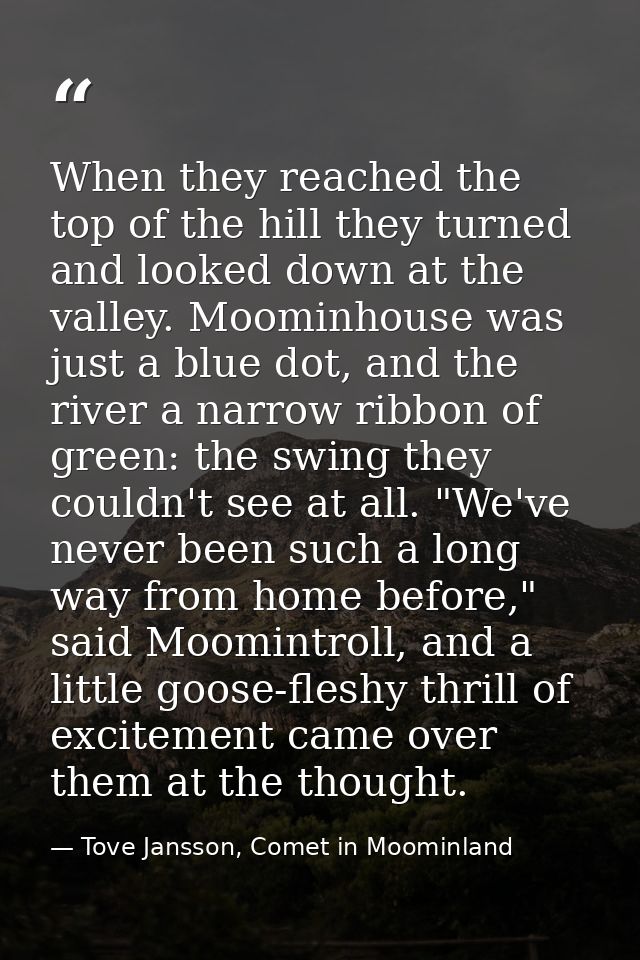 When they reached the top of the hill they turned and looked down at the valley. Moominhouse was just a blue dot, and th — Tove Jansson, Comet in Moominland