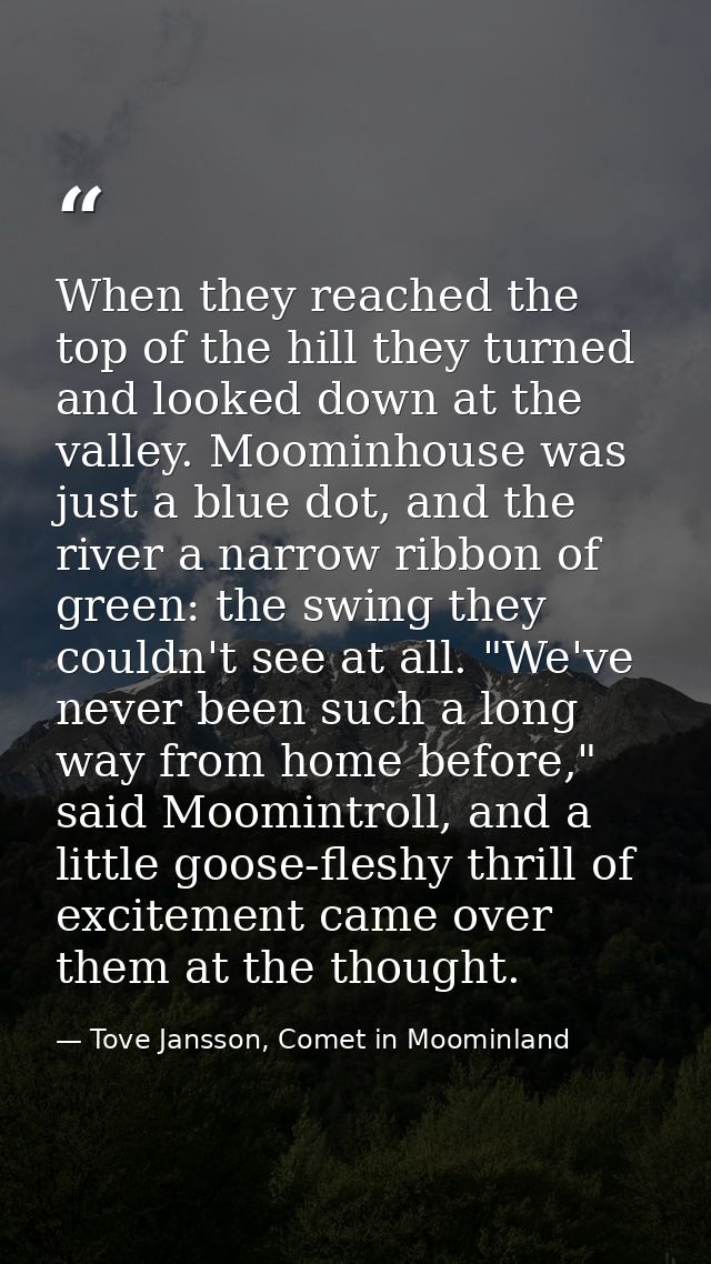 When they reached the top of the hill they turned and looked down at the valley. Moominhouse was just a blue dot, and th — Tove Jansson, Comet in Moominland