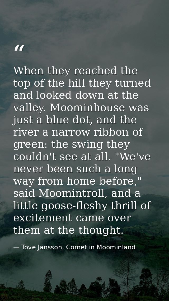 When they reached the top of the hill they turned and looked down at the valley. Moominhouse was just a blue dot, and th — Tove Jansson, Comet in Moominland