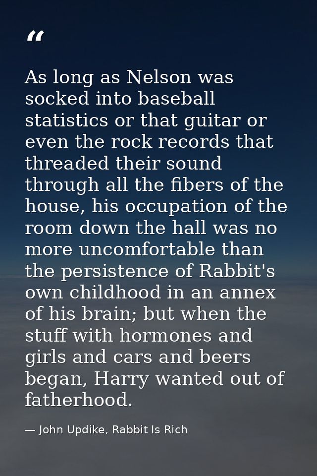 As long as Nelson was socked into baseball statistics or that guitar or even the rock records that threaded their sound  — John Updike, Rabbit Is Rich