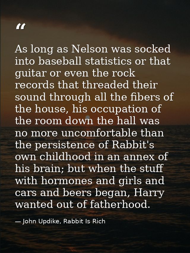 As long as Nelson was socked into baseball statistics or that guitar or even the rock records that threaded their sound  — John Updike, Rabbit Is Rich