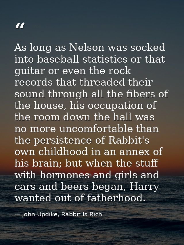 As long as Nelson was socked into baseball statistics or that guitar or even the rock records that threaded their sound  — John Updike, Rabbit Is Rich
