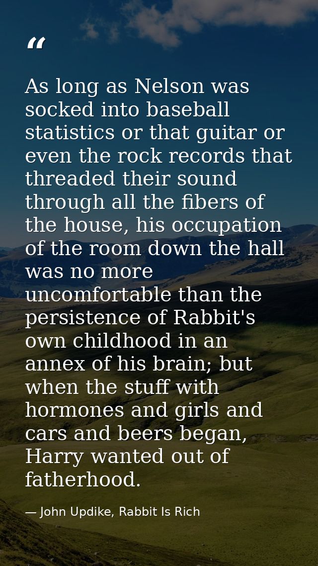 As long as Nelson was socked into baseball statistics or that guitar or even the rock records that threaded their sound  — John Updike, Rabbit Is Rich