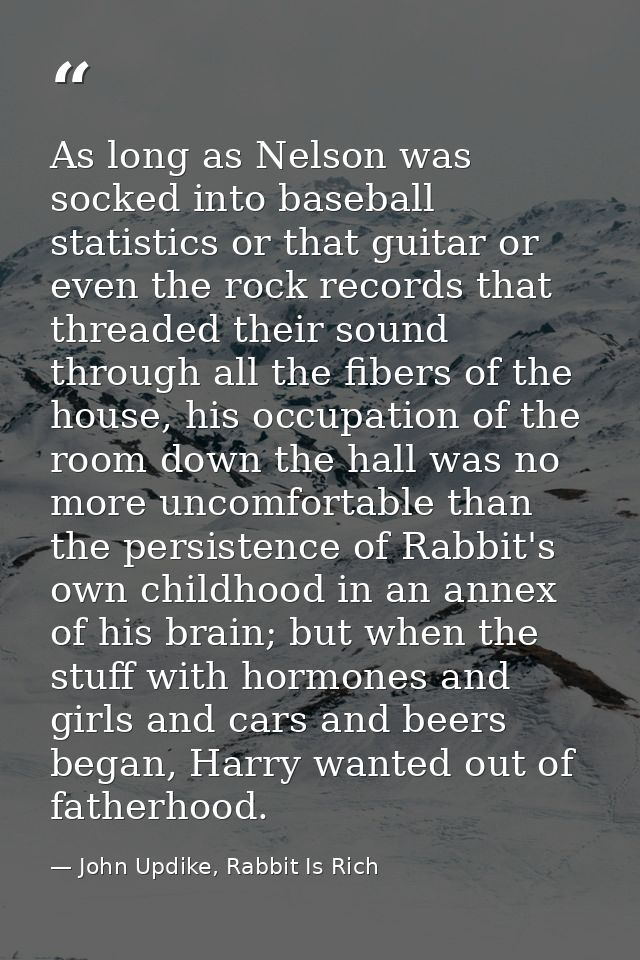 As long as Nelson was socked into baseball statistics or that guitar or even the rock records that threaded their sound  — John Updike, Rabbit Is Rich
