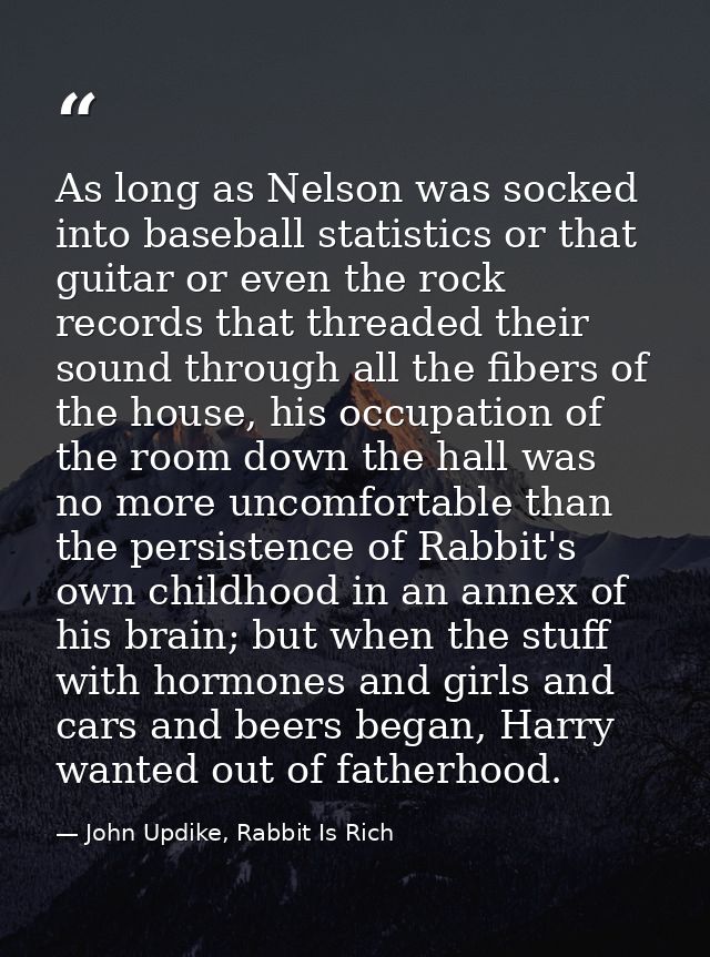 As long as Nelson was socked into baseball statistics or that guitar or even the rock records that threaded their sound  — John Updike, Rabbit Is Rich