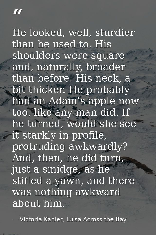 He looked, well, sturdier than he used to. His shoulders were square and, naturally, broader than before. His neck, a bi — Victoria Kahler, Luisa Across the Bay
