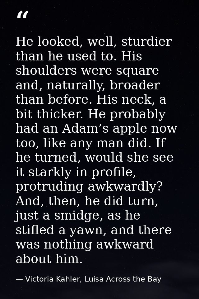 He looked, well, sturdier than he used to. His shoulders were square and, naturally, broader than before. His neck, a bi — Victoria Kahler, Luisa Across the Bay