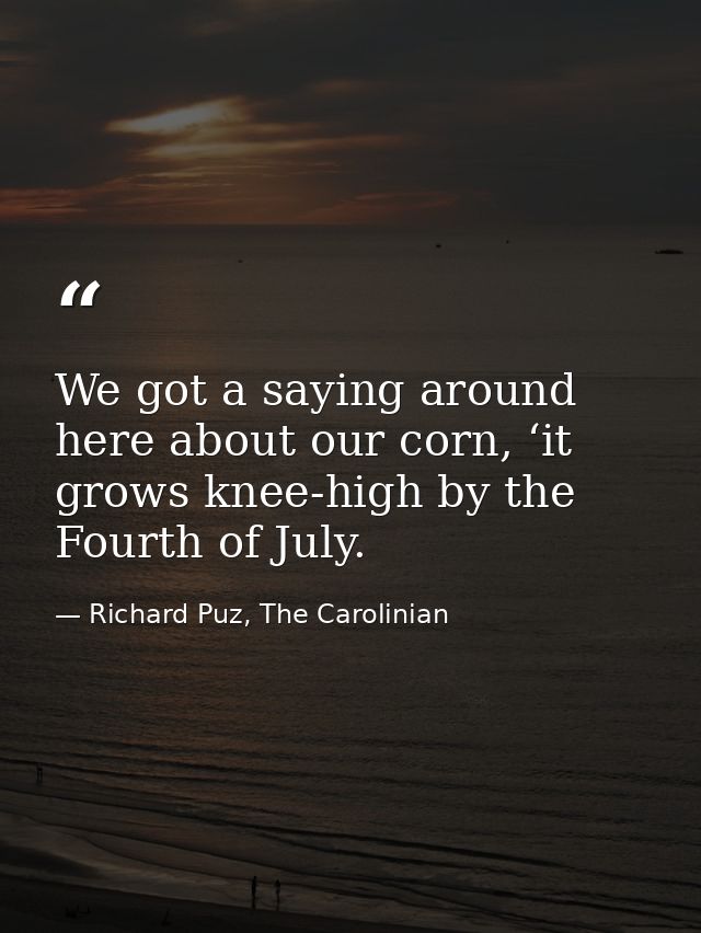 We got a saying around here about our corn, ‘it grows knee-high by the Fourth of July. — Richard Puz, The Carolinian