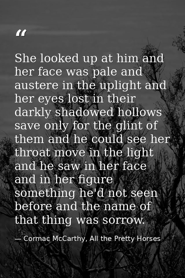 She looked up at him and her face was pale and austere in the uplight and her eyes lost in their darkly shadowed hollows — Cormac McCarthy, All the Pretty Horses