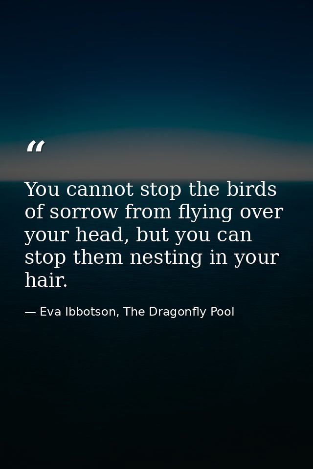 You cannot stop the birds of sorrow from flying over your head, but you can stop them nesting in your hair. — Eva Ibbotson, The Dragonfly Pool