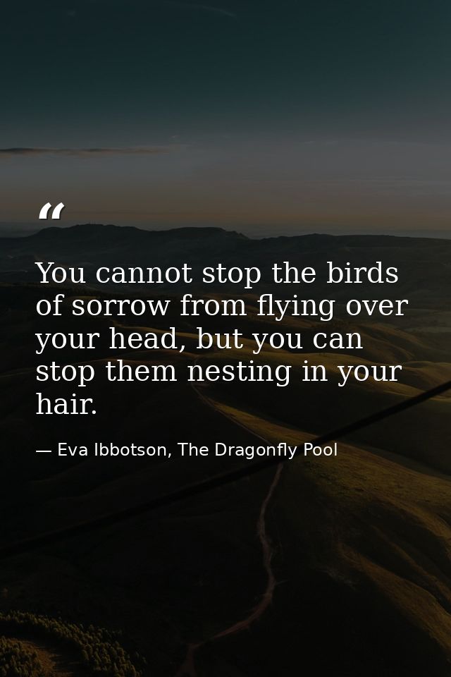 You cannot stop the birds of sorrow from flying over your head, but you can stop them nesting in your hair. — Eva Ibbotson, The Dragonfly Pool