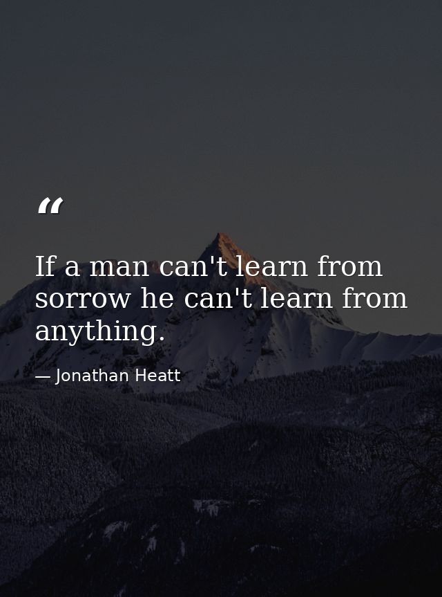 If a man can't learn from sorrow he can't learn from anything. — Jonathan Heatt