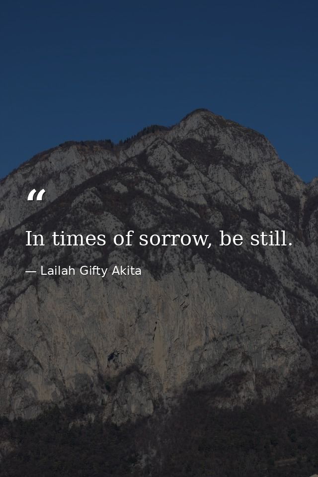 In times of sorrow, be still. — Lailah Gifty Akita