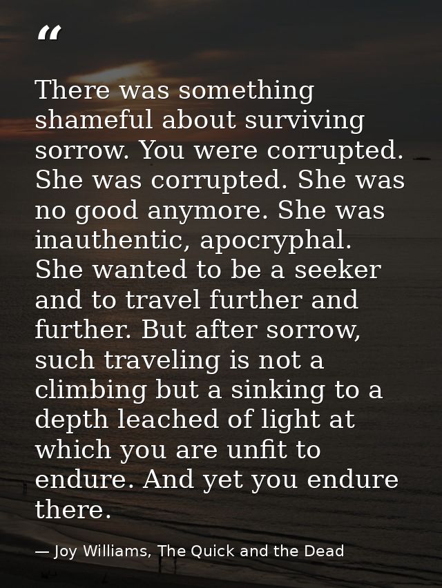 There was something shameful about surviving sorrow. You were corrupted. She was corrupted. She was no good anymore. She — Joy Williams, The Quick and the Dead