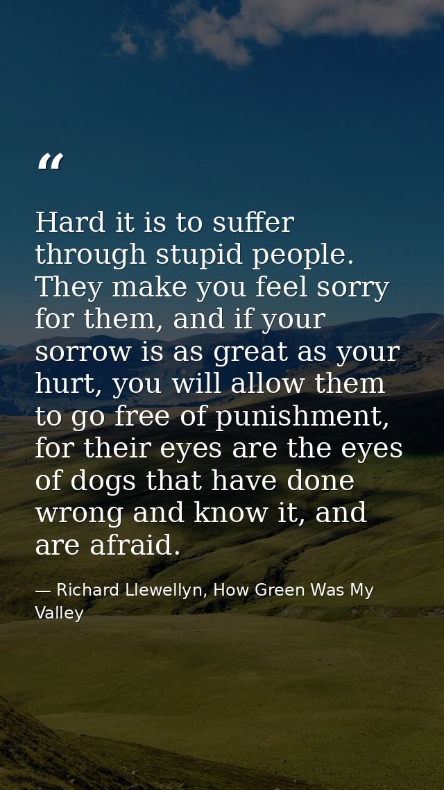 Hard it is to suffer through stupid people. They make you feel sorry for them, and if your sorrow is as great as your hu — Richard Llewellyn, How Green Was My Valley