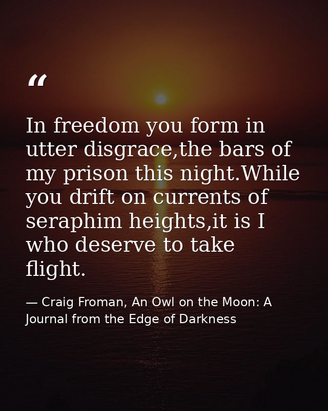 In freedom you form in utter disgrace,the bars of my prison this night.While you drift on currents of seraphim heights,i — Craig Froman, An Owl on the Moon: A Journal from the Edge of Darkness