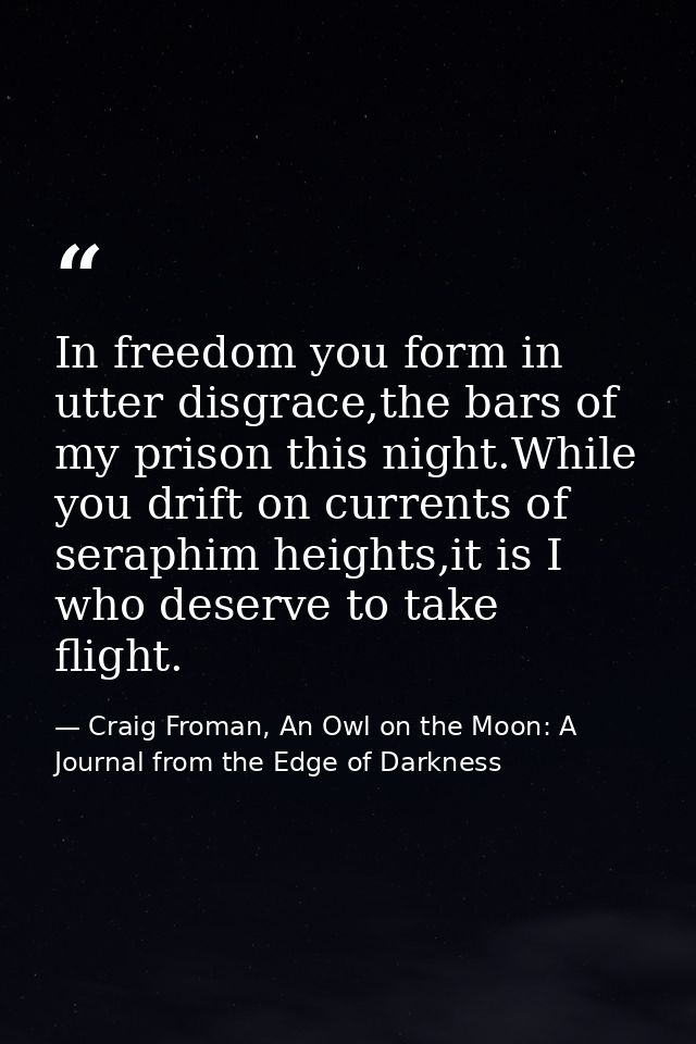 In freedom you form in utter disgrace,the bars of my prison this night.While you drift on currents of seraphim heights,i — Craig Froman, An Owl on the Moon: A Journal from the Edge of Darkness