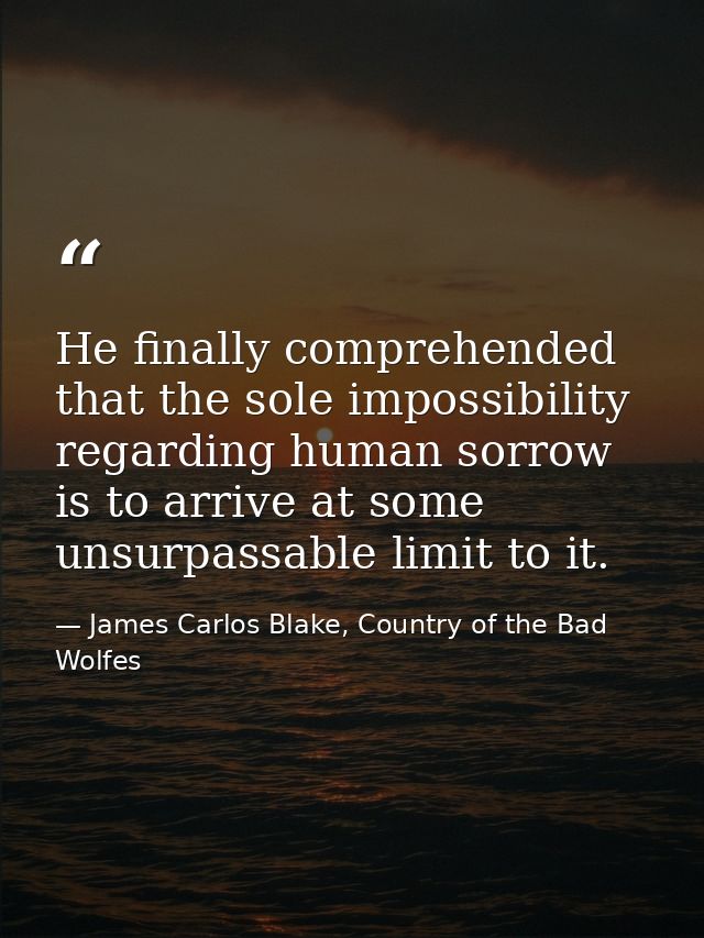 He finally comprehended that the sole impossibility regarding human sorrow is to arrive at some unsurpassable limit to i — James Carlos Blake, Country of the Bad Wolfes