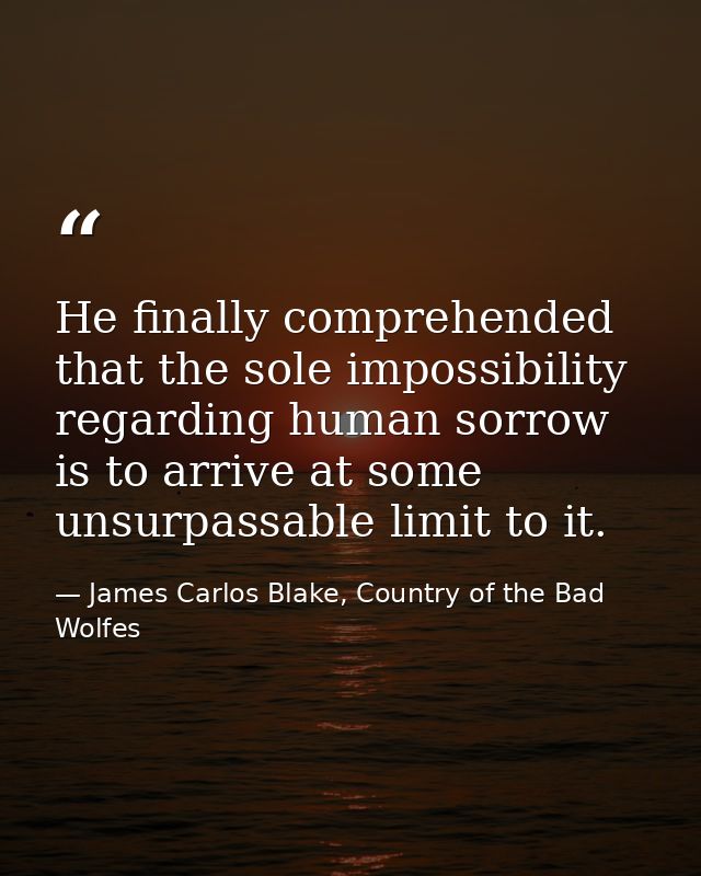 He finally comprehended that the sole impossibility regarding human sorrow is to arrive at some unsurpassable limit to i — James Carlos Blake, Country of the Bad Wolfes