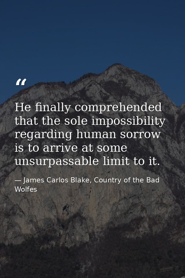 He finally comprehended that the sole impossibility regarding human sorrow is to arrive at some unsurpassable limit to i — James Carlos Blake, Country of the Bad Wolfes