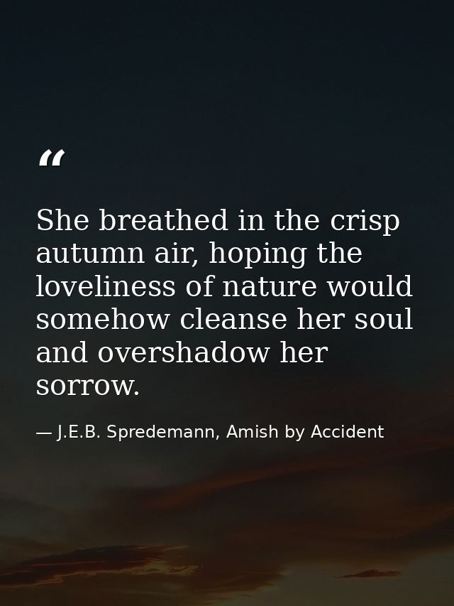 She breathed in the crisp autumn air, hoping the loveliness of nature would somehow cleanse her soul and overshadow her  — J.E.B. Spredemann, Amish by Accident